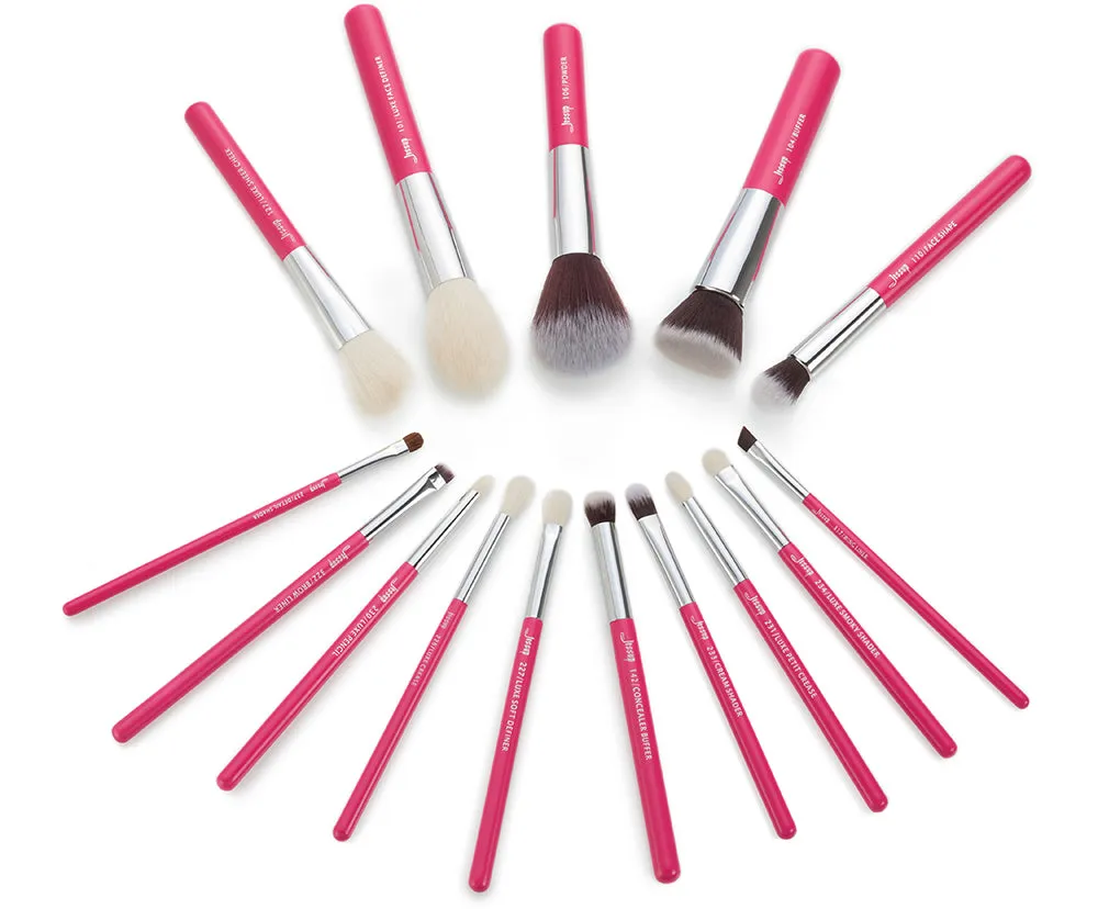 Individual 15Pcs Makeup Brush Set T200